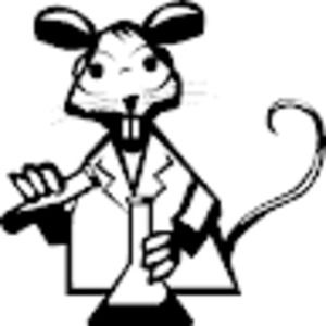 Meet your Posher, Cidi